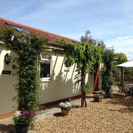 Ashford House B&B Wells Luaran gambar