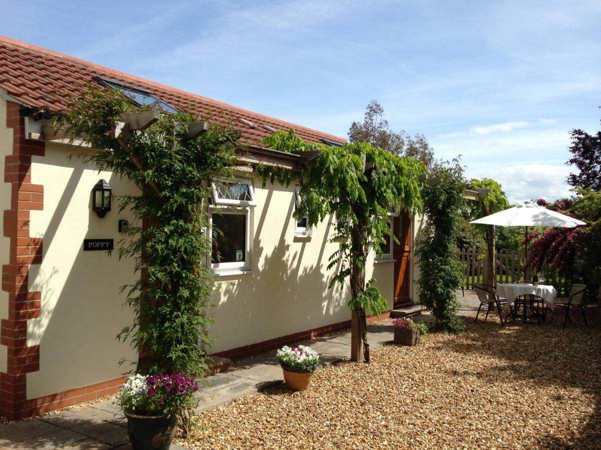 Ashford House B&B Wells Luaran gambar